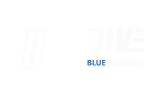 JUSTDIVE